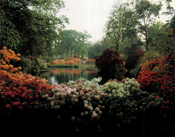 Top Pond, Home Wood, Exbury Gardens