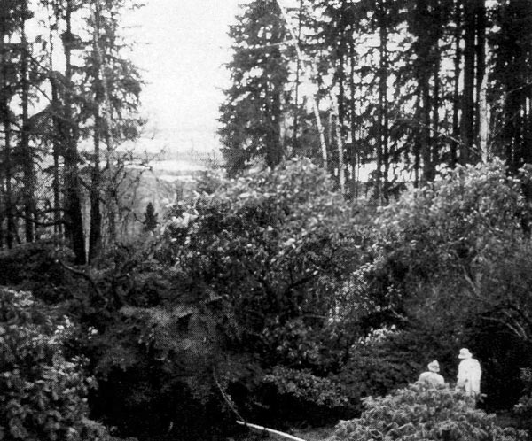 Volunteers look over damage in 
Smith Garden