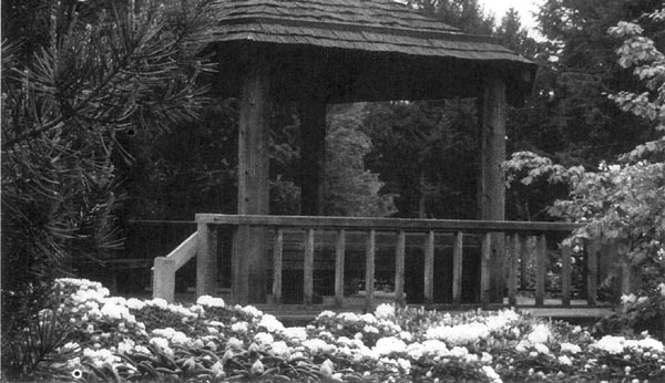 R. yakushimanum and RSBG gazebo.