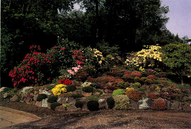 Art Dome Garden, Seattle, Wash