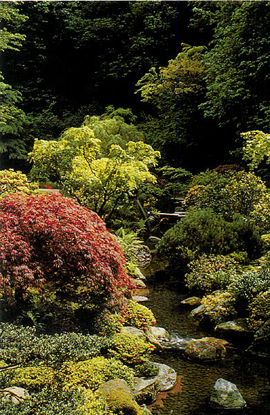 Stream connecting the
Upper and Lower Strolling Pond Garden