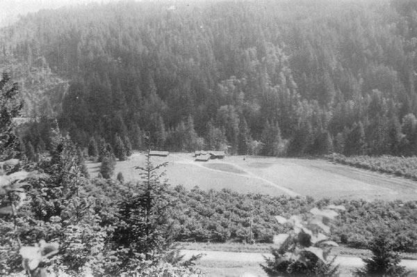 1952 photo Dunroamin showing the
pear-shaped driveway