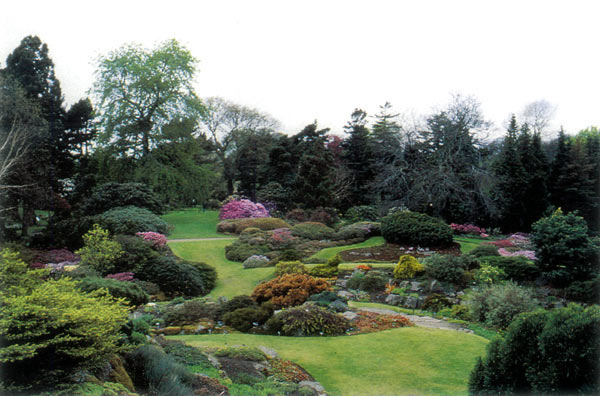 The Rock Garden, Royal
Botanic Garden, Edinburgh.