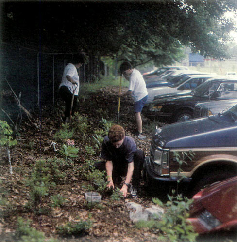 Planting around the perimeter
of the school parking.