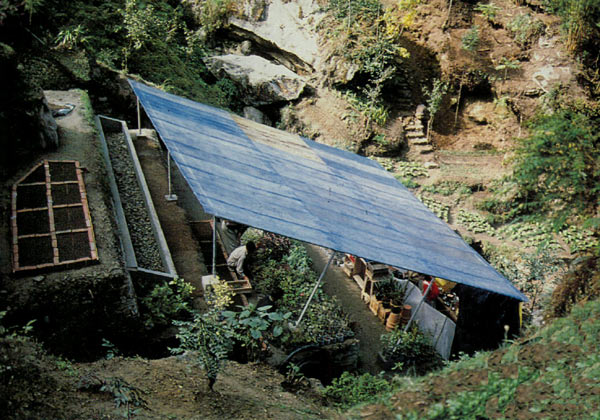 Shade house and
covered work area