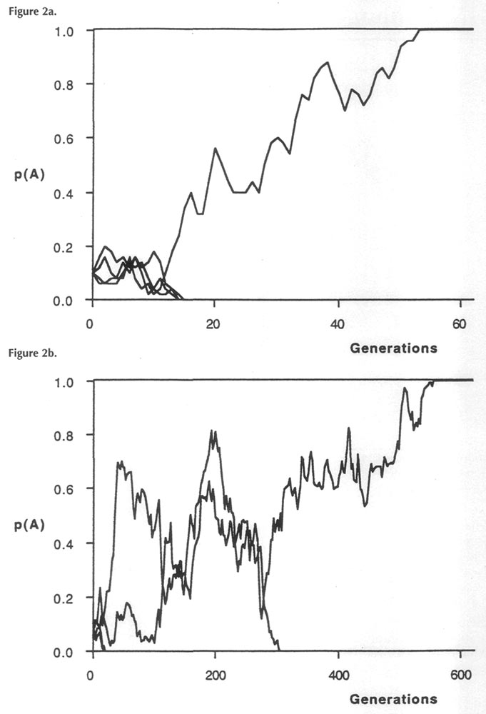 Computer simulations of
successive generations for two Rhododendron populations