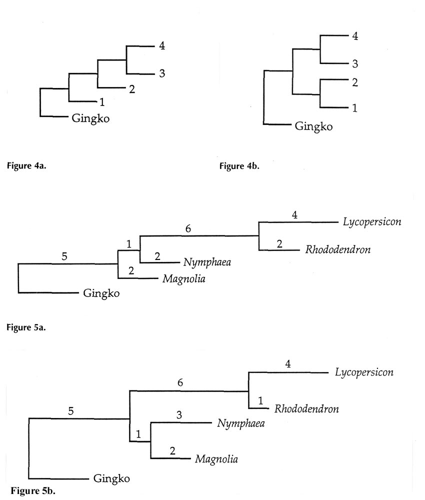 parsimony analysis