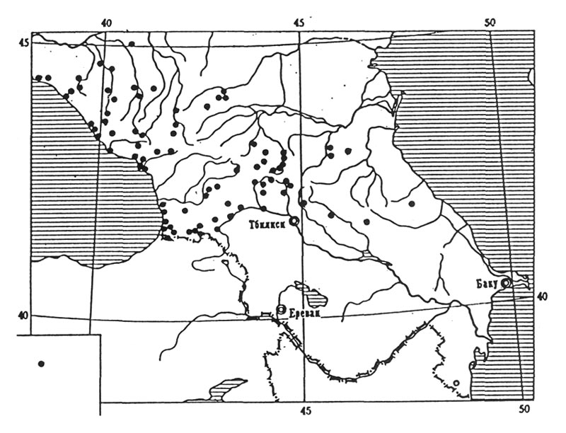 Figure 7. Occurrence of
Rhododendron luteum in Caucasus.