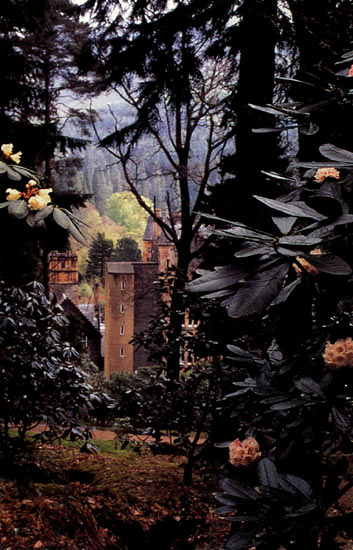 Garden scene with castle in
background.