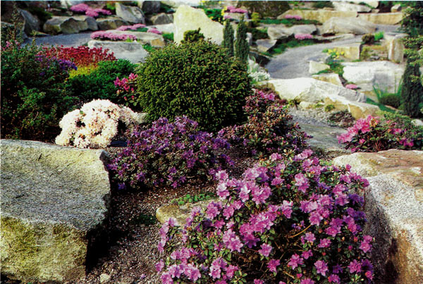 The Bellevue Botanical Gardens,
Rock Garden