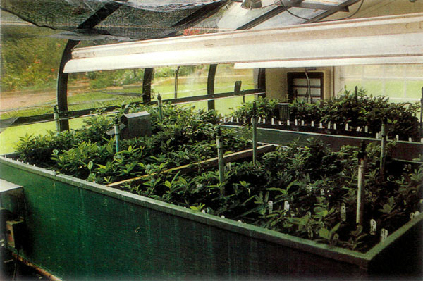 Propagating bench, Sept. 1, 1997