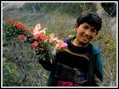 Tibetan guide on the Dashing La