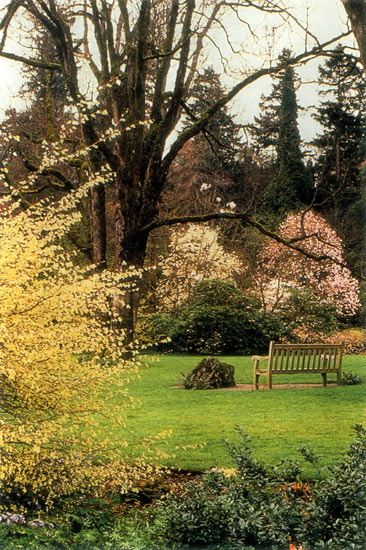 Peter Kerr's Elk Rock garden