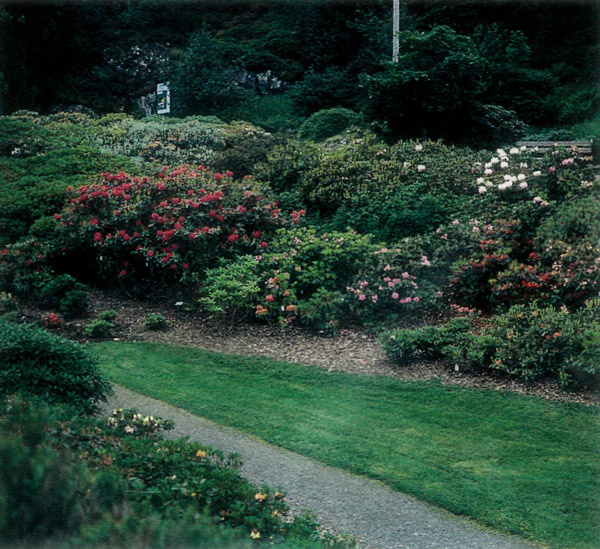 Norwegian Arboretum, Milde, Norway