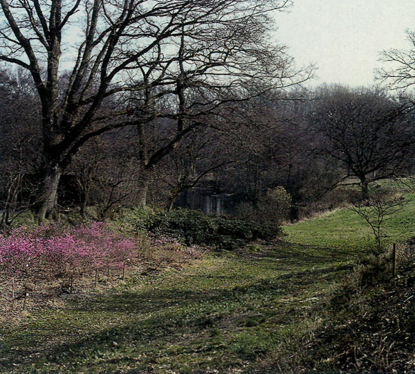 Species collection at Hørsholm, Denmark.