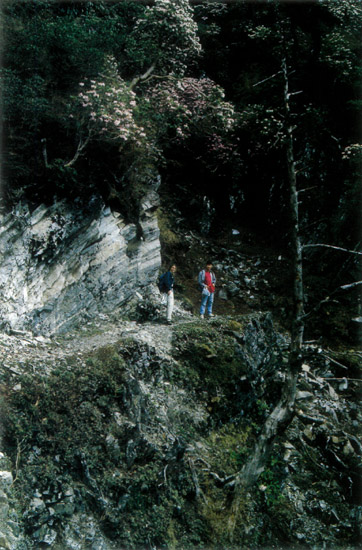 Trail on Cang Shan, Yunnan, Chin