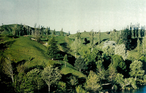 Hackfalls Arboretum, near Gisborne NZ