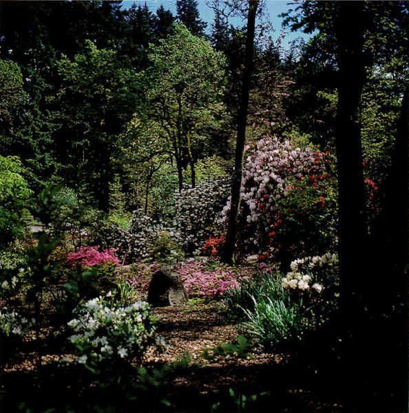 General view across the garden