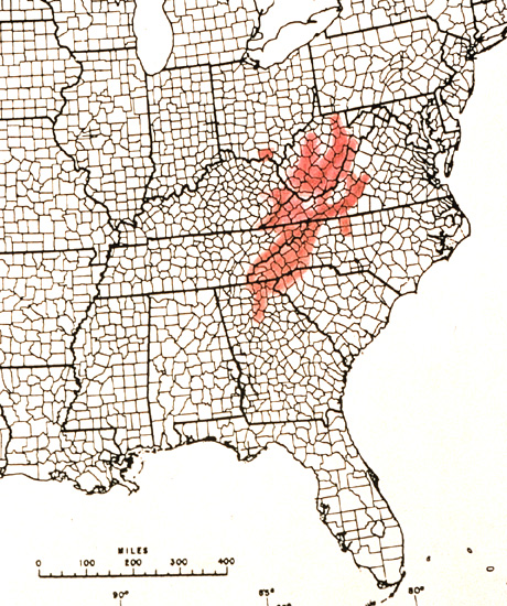 R. calendulaceum distribution