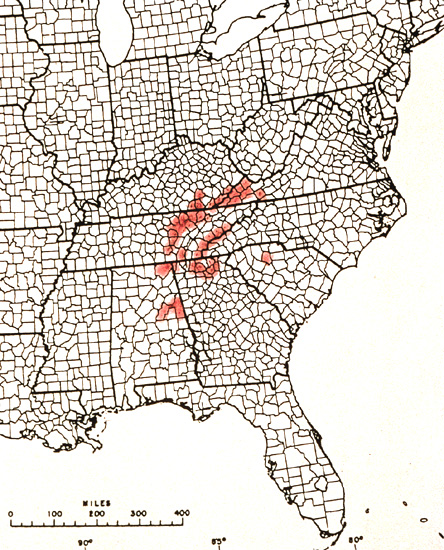 R. cumberlandense distribution