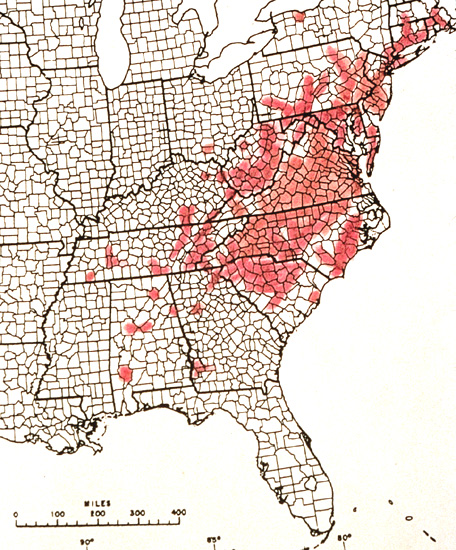 R. periclymenoides distribution