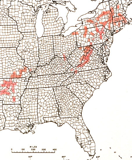 R. prinophyllum distribution