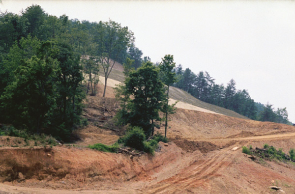 Road cut in mountains of North Carolina.