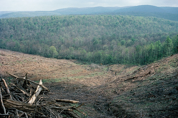 Logging clear-cut with whole tree removal.