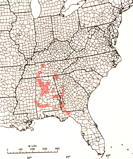 R. alabamense distribution