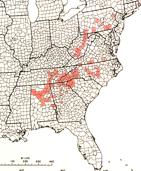 R. arborescens distribution