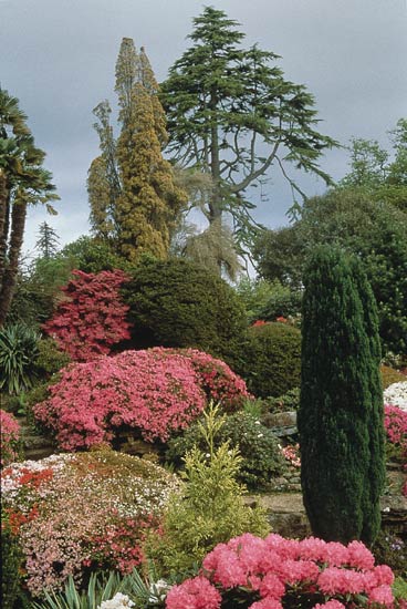 Rock Garden at Leonardslee.