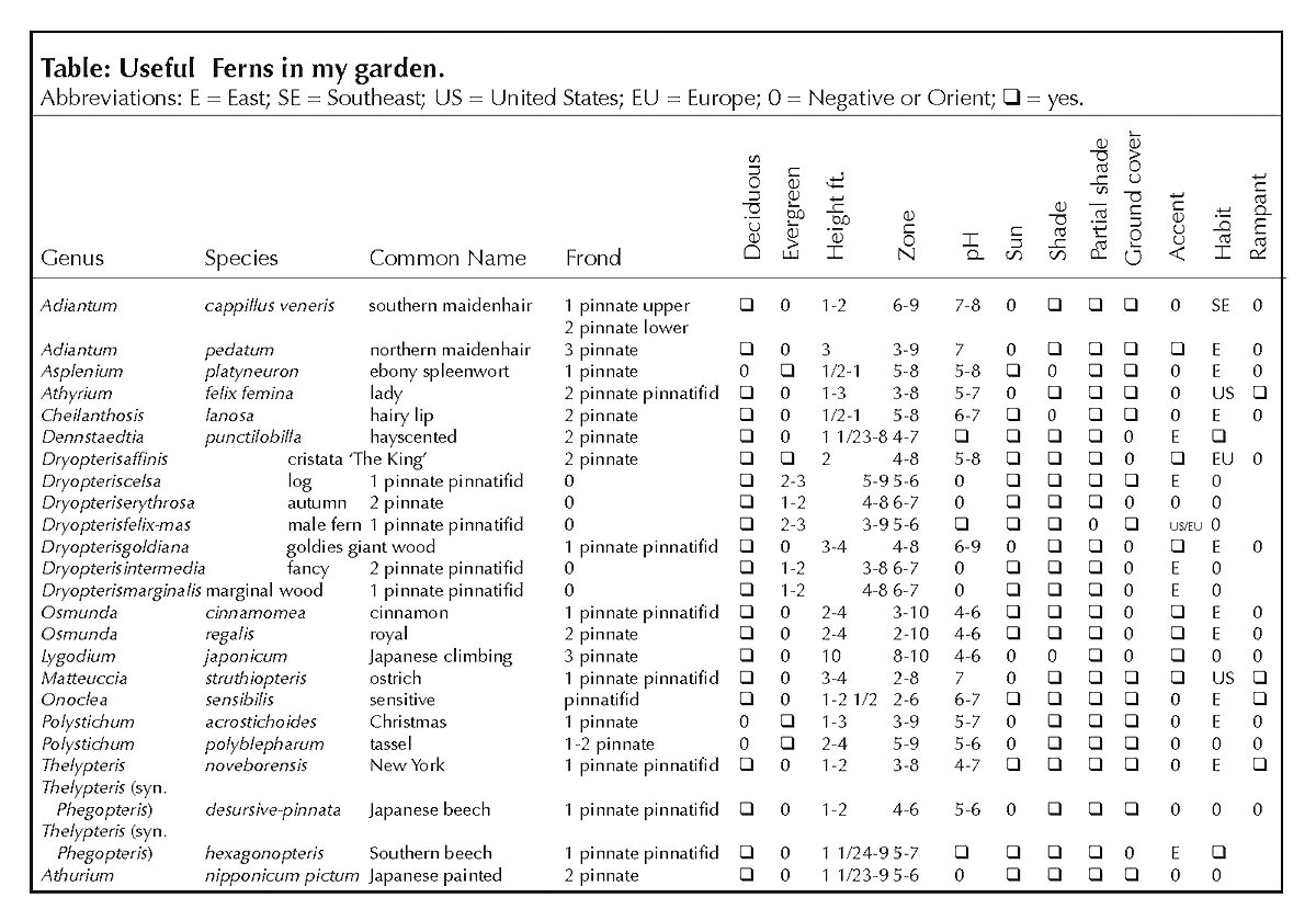 Useful hardy ferns