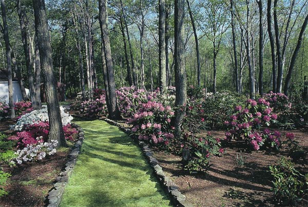 The Zurich Garden, Toms River, New Jersey.