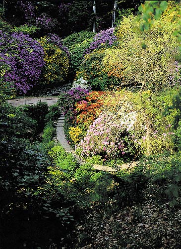 In May-June the ravines explode
in colors