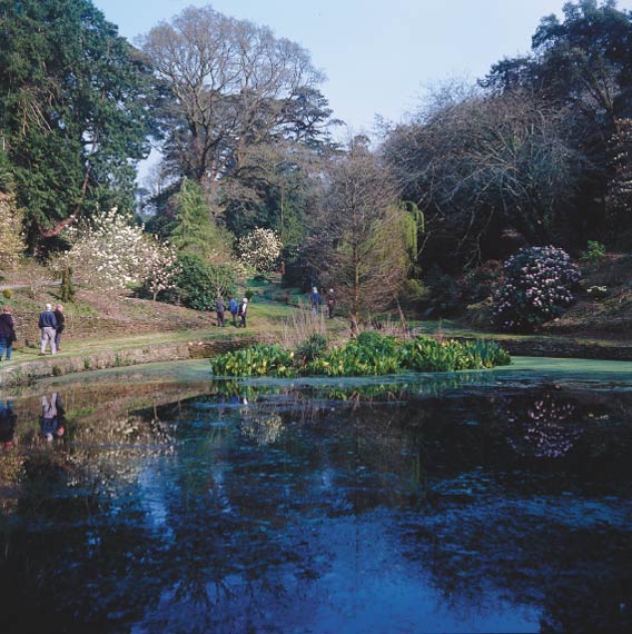 Lamellen
House Garden