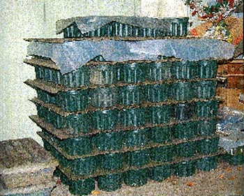 Warehoused potted seedlings in the
author's garage