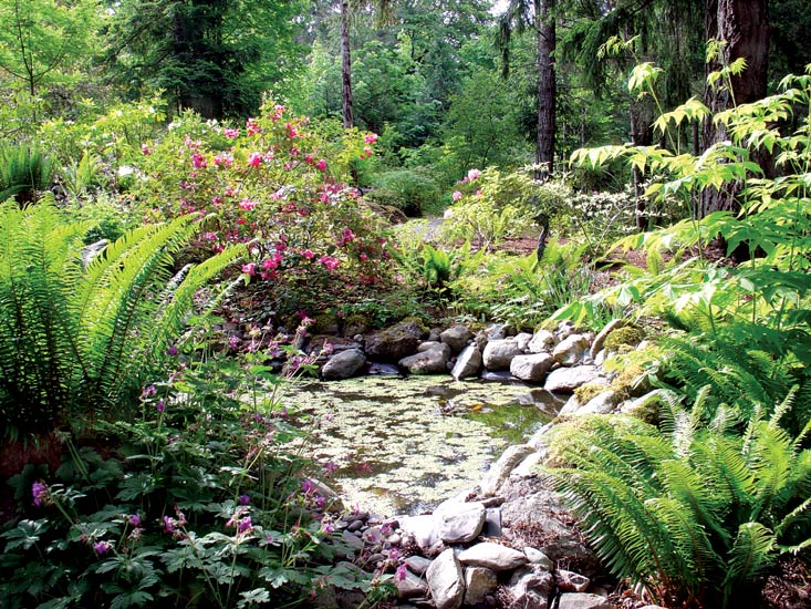 The garden of Alan and Sandy Campbell.