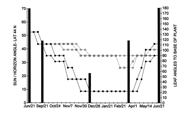 Figure 1. Current year seasonal
rhododendron leaf angles above freezing with day-length/light intensity