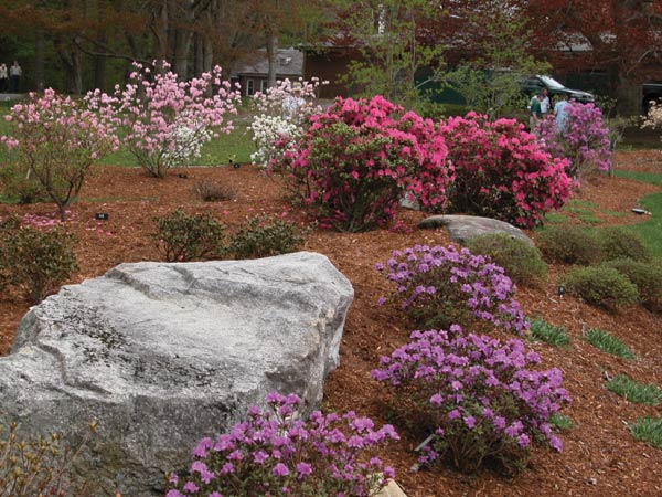 The Massachusetts
Display Garden in Wellesley, MA