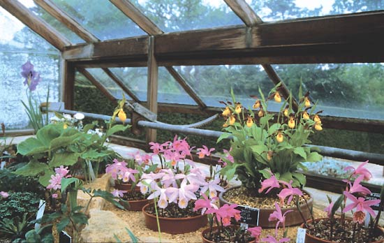 The Alpine House