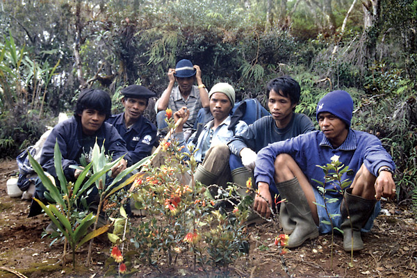 Our porters on G. Rantemario