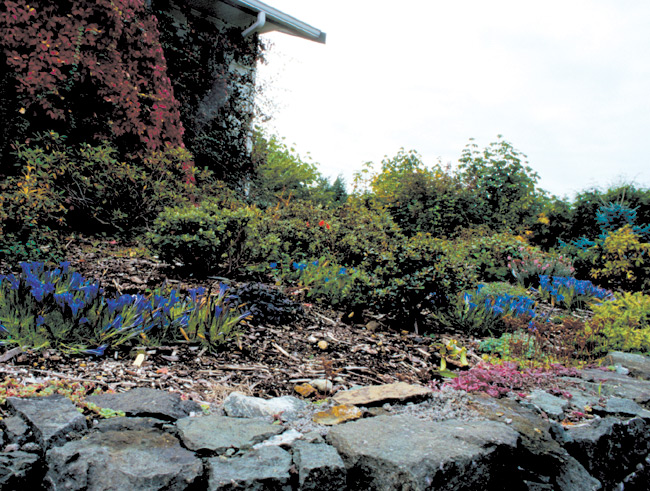 North facing raised bed in
the garden of Bernie Guyader.