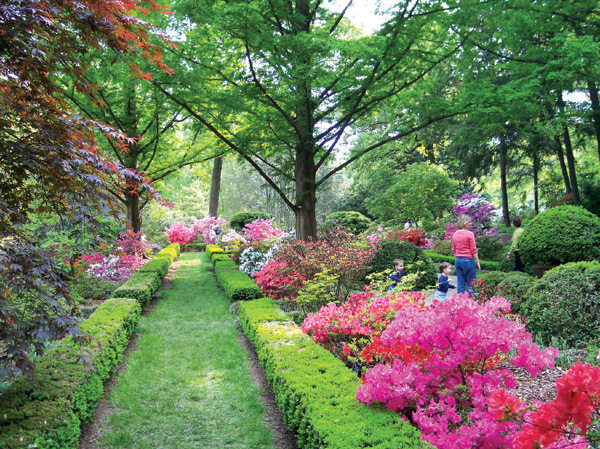 Morrison Garden at the U.S.
National Arboretum