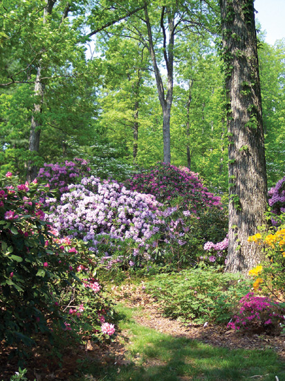 Vista in the garden of Ed and
Mary Reiley