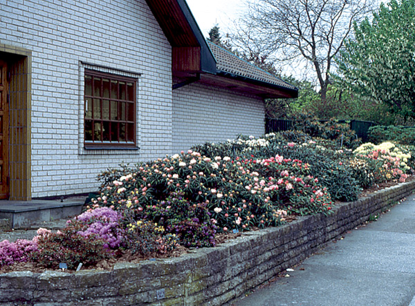 The street-side garden of Börje Malmgren, Malmoe,
Sweden.