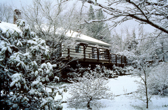 View of back yard in winter