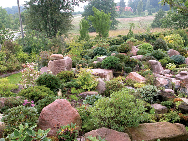 Taliensia Forest, a smaller part of the
great collection of species in the garden of Birgit and Svend Hansen in Danstrup, Denmark.