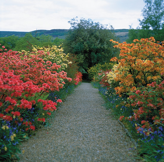 The 'Ladies Garden' at
Ardkinglas House