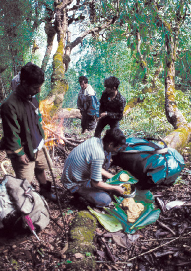 Porters preparing lunch