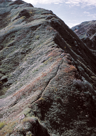 Ridge trail on the way to
Abroka Pass on Mt. Riutala